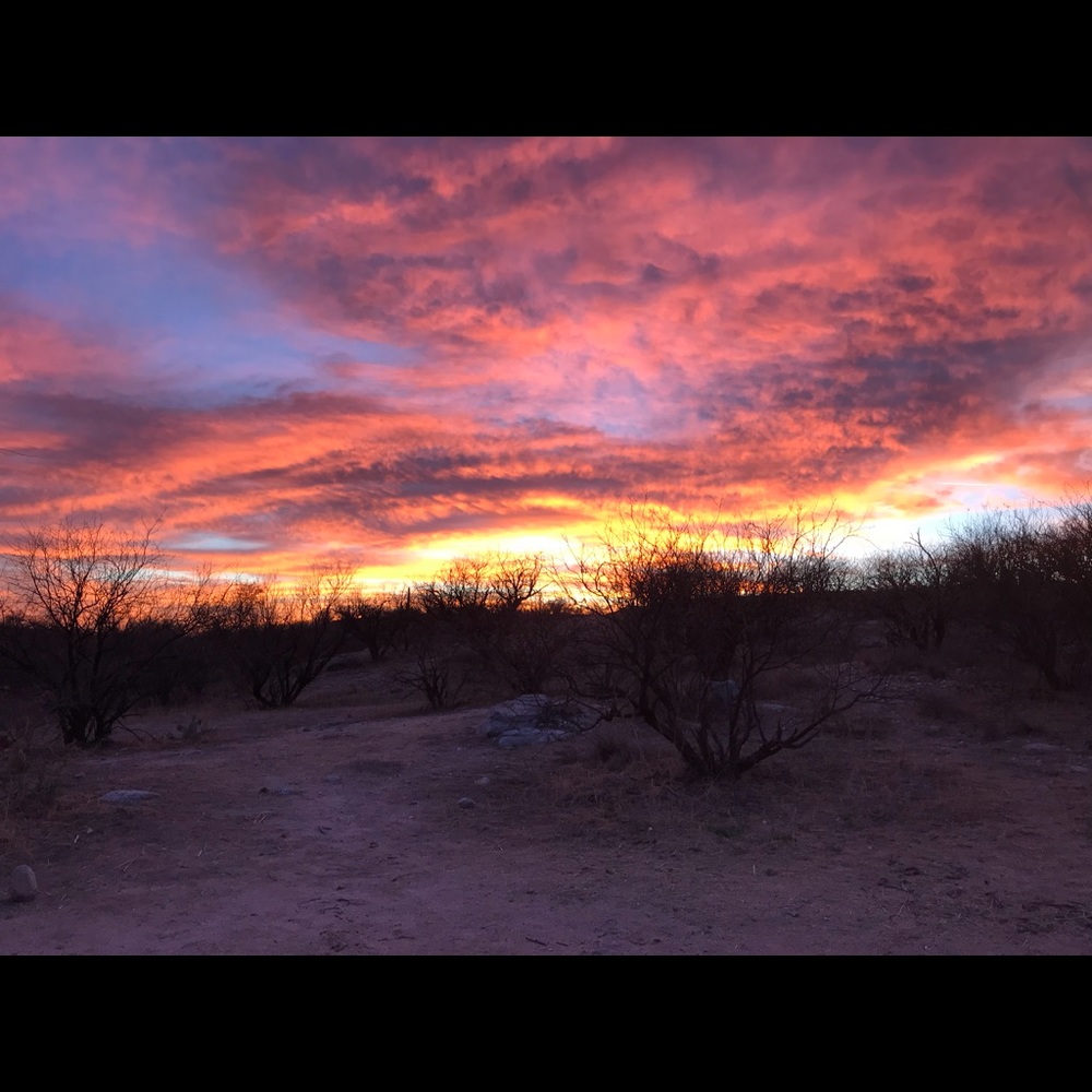 Meet your Posher, Mat